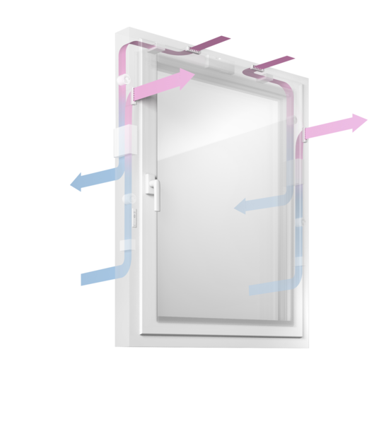 Fenster 3